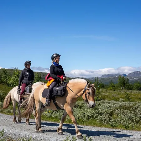 Spacious For Up To 5 Guests Beitostolen