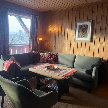 Spacious For Up To 5 Guests Apartamento Beitostolen